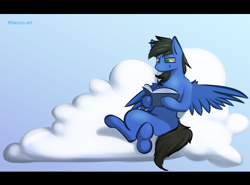 Size: 2708x2000 | Tagged: safe, artist:phlerius, oc, oc only, oc:glorious shark, pegasus, pony, book, cloud, heterochromia, high res, solo, wings
