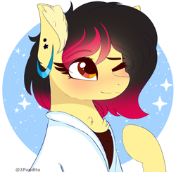 Size: 3380x3318 | Tagged: safe, artist:2pandita, oc, oc only, earth pony, pony, clothes, female, high res, mare, one eye closed, simple background, solo, white background, wink
