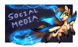 Size: 3002x1820 | Tagged: safe, artist:megabait, oc, oc:mega voltage, pegasus, pony, advertising, lightning, social media