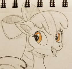 Size: 2048x1978 | Tagged: safe, artist:polar_storm, apple bloom, earth pony, pony, g4, female, filly, happy, sketch, solo, traditional art