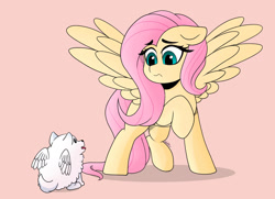 Size: 1280x926 | Tagged: safe, artist:rand-dums, cloudpuff, fluttershy, dog, flying pomeranian, pegasus, pomeranian, pony, g4, g5, my little pony: a new generation, female, floppy ears, g5 to g4, looking at each other, looking at someone, looking down, pink background, puzzled, raised hoof, simple background, spread wings, winged dog, wings