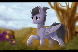 Size: 1500x1000 | Tagged: safe, artist:symphonicnights, oc, oc only, oc:wing, pegasus, pony, field, flower, male, no source available, solo, stallion, tree