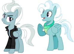 Size: 1280x940 | Tagged: safe, artist:princess-kitsune-tsu, oc, oc only, pegasus, pony, clothes, female, jacket, leather jacket, male, mare, offspring, parent:fleetfoot, parent:silver lining, parents:fleetlining, simple background, stallion, transparent background