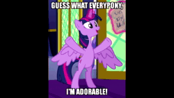 Size: 1280x720 | Tagged: safe, ai assisted, ai content, edit, edited screencap, fifteen.ai, screencap, twilight sparkle, alicorn, pony, g4, shadow play, adorable face, bipedal, book, captain obvious, caption, cropped, cute, female, happy, hooves, i'm cute, image macro, magic, mare, meme, no shit sherlock, raised hoof, raised leg, solo, sound, sound only, spread wings, standing, telekinesis, text, truth, twiabetes, twilight sparkle (alicorn), underhoof, webm, wings