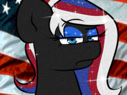 Size: 320x240 | Tagged: safe, artist:tranzmuteproductions, oc, oc only, oc:obabscribbler, earth pony, pony, animated, bust, earth pony oc, ethereal mane, female, flag, frown, gif, lidded eyes, mare, solo, starry mane, unamused, united states