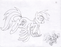 Size: 2172x1683 | Tagged: safe, artist:ciaran, derpibooru exclusive, rainbow dash, pony, g4, cutie mark, flying, inktober, inktober2021, simple background, sketch, smiling, solo, traditional art, white background, wip