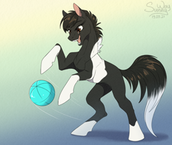 Size: 1200x1014 | Tagged: safe, artist:sunny way, oc, oc only, oc:irga, earth pony, pony, ball, coat markings, cute, female, finished commission, fit, gradient background, happy, horses doing horse things, mare, ocbetes, open mouth, photo, playing, rearing, sketch, slender, smiling, smirk, socks (coat markings), solo, sternocleidomastoid, thin