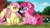 Size: 1300x740 | Tagged: safe, artist:milledpurple, fluttershy, pinkie pie, butterfly, earth pony, pegasus, pony, g4, blushing, butterfly on nose, chest fluff, colored wings, ear fluff, female, fence, flower, fluffy, grass, insect on nose, lesbian, looking at someone, looking at something, mare, outdoors, ship:flutterpie, shipping, signature, sitting, smiling, spread wings, tree, two toned wings, under the tree, unshorn fetlocks, wings