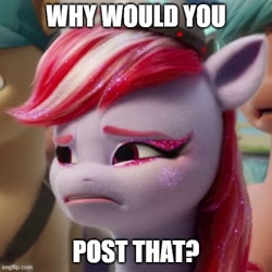 Size: 500x500 | Tagged: safe, edit, edited screencap, screencap, sugar moonlight, earth pony, pony, g5, my little pony: a new generation, spoiler:g5, spoiler:my little pony: a new generation, anti-mind reading cap, cropped, eyebrows, female, image macro, imgflip, mare, meme, reaction image, solo focus, why would you post that
