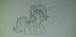 Size: 1280x623 | Tagged: safe, artist:applejacko1112, oc, oc only, oc:filly anon, pony, female, filly, solo, traditional art