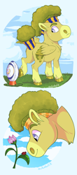 Size: 1500x3401 | Tagged: safe, artist:owlcoholik, oc, oc only, oc:broccoli sprout, insect, ladybug, pony, american football, female, filly, flower, offspring, parent:bulk biceps, parent:tree hugger, parents:bulkhugger, solo, sports