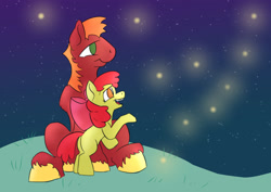 Size: 1980x1400 | Tagged: safe, artist:paleheart-arts, apple bloom, big macintosh, earth pony, firefly (insect), insect, pony, g4, bow, colored hooves, female, filly, male, missing freckles, night, siblings, stallion, stars, unshorn fetlocks