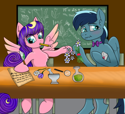 Size: 2532x2310 | Tagged: safe, artist:starsilk, oc, oc only, oc:star silk, oc:vibrant grove, pegasus, pony, alchemy, blushing, bowtie, chalkboard, chest fluff, classroom, crush, cute, flower, high res, innocent, magnifying glass, mortar and pestle, pencil in mouth, pi, potions