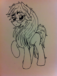 Size: 1936x2592 | Tagged: safe, artist:zombietator, earth pony, pony, black butler, glasses, lineart, ponified, raised hoof, smiling, solo, traditional art