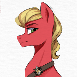 Size: 2200x2200 | Tagged: safe, artist:cottonaime, sprout cloverleaf, earth pony, pony, g5, my little pony: a new generation, bust, frown, high res, looking at you, male, solo, stallion