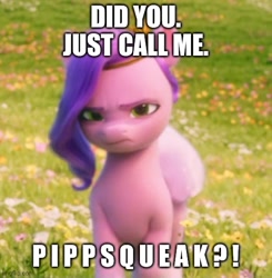 Size: 500x510 | Tagged: safe, edit, edited screencap, screencap, pipp petals, pegasus, pony, g5, my little pony: a new generation, spoiler:g5, spoiler:my little pony: a new generation, 3d, anti-bronybait, caption, cropped, female, image macro, pipp is short, pipp petals is not amused, solo, text, this will end in pain, this will end in tears