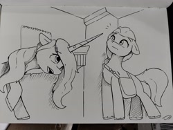 Size: 4096x3076 | Tagged: safe, artist:taurson, izzy moonbow, sunny starscout, earth pony, pony, unicorn, g5, my little pony: a new generation, spoiler:my little pony: a new generation, floppy ears, horn, photo, traditional art