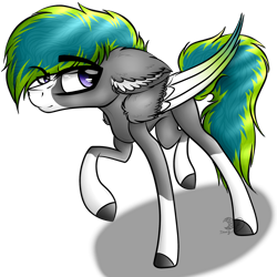 Size: 2314x2317 | Tagged: safe, artist:beamybutt, oc, oc only, pegasus, pony, colored hooves, ear fluff, high res, male, pegasus oc, raised hoof, simple background, solo, stallion, transparent background