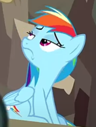 Size: 500x663 | Tagged: safe, screencap, rainbow dash, pony, daring done?, g4, cropped, solo