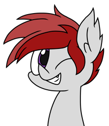 Size: 2015x2326 | Tagged: safe, artist:derpyalex2, oc, oc only, pony, high res, looking at you, one eye closed, simple background, solo, transparent background, wink, winking at you