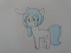 Size: 2064x1548 | Tagged: safe, artist:cherro, oc, oc only, oc:mal, pony, solo, traditional art