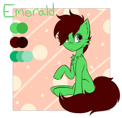 Size: 2025x1964 | Tagged: safe, artist:lucky-em, oc, oc only, oc:emerald, earth pony, pony, chest fluff, ear fluff, raised hoof, reference sheet, simple background, solo, transparent background