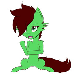 Size: 1920x2000 | Tagged: safe, artist:lucky-em, oc, oc only, oc:emerald, earth pony, pony, chest fluff, ear fluff, hair over one eye, raised hoof, simple background, sitting, solo, transparent background