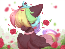 Size: 3300x2500 | Tagged: safe, artist:avroras_world, oc, oc only, oc:walter evans, pegasus, pony, choker, flower, high res, male, multicolored hair, multicolored mane, pegasus oc, rainbow hair, rainbow tail, rose, solo, stallion, tail, wings