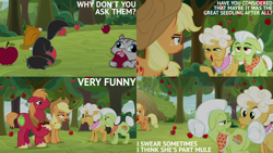 Size: 1280x720 | Tagged: safe, edit, edited screencap, editor:quoterific, screencap, applejack, big macintosh, goldie delicious, granny smith, cat, earth pony, pony, g4, going to seed, season 9, apple, applejack's hat, cowboy hat, female, food, hat, male, mare, open mouth, open smile, smiling, stallion, tree