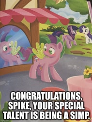 Size: 640x842 | Tagged: safe, artist:anthony conley, edit, rarity, spike, twilight sparkle, alicorn, pony, unicorn, g4, my little pony. poni nimeltä spike, blushing, book, butt, caption, image macro, implied shipping, implied sparity, implied straight, male, mirror, outdoors, plot, ponified, ponified spike, simp, solo focus, species swap, stallion, text, twilight sparkle (alicorn)