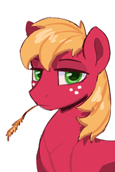 Size: 2000x3000 | Tagged: safe, artist:cherry_kotya, big macintosh, earth pony, pony, g4, bust, high res, looking at you, portrait, solo