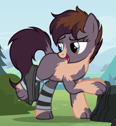 Size: 1323x1437 | Tagged: safe, artist:anonymous, oc, oc only, earth pony, pony, /ptfg/, blank flank, brown hair, bush, clothes, earth pony oc, eye color change, female, human to pony, looking back, mare, mid-transformation, open mouth, open smile, outdoors, rock, show accurate, smiling, socks, suggestive description, transformation