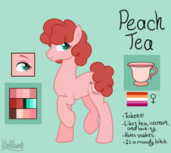 Size: 1280x1143 | Tagged: safe, artist:lilsoftlamb, oc, oc only, oc:peach tea, earth pony, pony, female, mare, reference sheet, solo