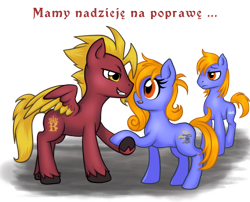 Size: 540x436 | Tagged: safe, oc, oc only, oc:prince baltic, oc:princess pomerania, earth pony, pegasus, pony, female, male, mare, polish, simple background, stallion, transparent background, tribrony