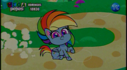 Size: 864x482 | Tagged: safe, screencap, rainbow dash, pegasus, pony, g4.5, my little pony: pony life, ecuador, intro, tc television, wings