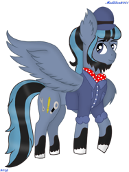 Size: 720x960 | Tagged: safe, artist:madlilon2051, oc, oc only, pegasus, pony, beard, clothes, facial hair, hat, male, one wing out, pegasus oc, simple background, smiling, solo, stallion, transparent background, unshorn fetlocks, wings