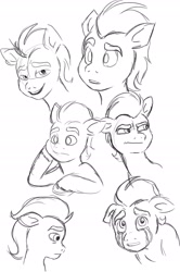 Size: 2000x3021 | Tagged: safe, artist:lordmarukio, sprout cloverleaf, earth pony, pony, g5, my little pony: a new generation, high res, male, sketch, sketch dump, solo, stallion
