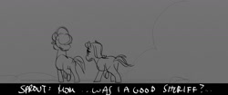 Size: 1400x587 | Tagged: safe, screencap, phyllis cloverleaf, sprout cloverleaf, earth pony, pony, unicorn, g5, my little pony: a new generation, spoiler:g5, spoiler:my little pony: a new generation, storyboard