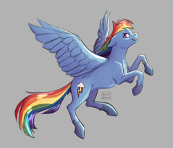 Size: 1280x1098 | Tagged: safe, artist:naomihubbard276, rainbow dash, pegasus, pony, g4, gray background, simple background, solo