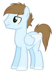 Size: 1150x1460 | Tagged: safe, artist:cindystarlight, oc, oc only, pegasus, pony, colored wings, male, simple background, solo, stallion, transparent background, two toned wings, wings