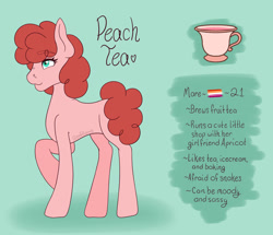 Size: 1280x1101 | Tagged: safe, artist:lilsoftlamb, oc, oc only, oc:peach tea, earth pony, pony, female, mare, reference sheet, solo