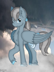 Size: 720x960 | Tagged: safe, artist:madlilon2051, oc, oc only, pegasus, pony, chest fluff, cloud, ear fluff, male, on a cloud, pegasus oc, raised hoof, stallion, unshorn fetlocks, wings