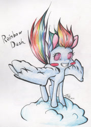 Size: 1465x2044 | Tagged: safe, artist:alcidence, rainbow dash, pegasus, pony, g4, blush sticker, blushing, cloud, grin, no pupils, on a cloud, smiling, solo, spread wings, standing on a cloud, traditional art, wings