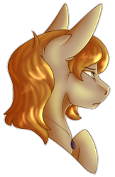 Size: 1146x1767 | Tagged: safe, artist:sketchytwi, oc, oc only, earth pony, pony, bust, earth pony oc, frown, jewelry, male, necklace, simple background, solo, stallion, transparent background