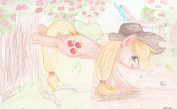 Size: 2458x1514 | Tagged: safe, artist:alcidence, applejack, rainbow dash, earth pony, pegasus, pony, g4, apple, apple orchard, apple tree, applebucking, nose wrinkle, orchard, rainbow trail, traditional art, tree