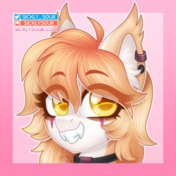 Size: 1000x1000 | Tagged: safe, artist:sickly-sour, oc, oc only, bat pony, pony, fangs, solo, teeth