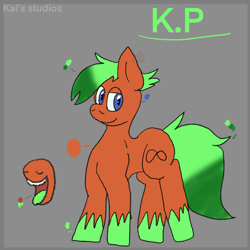 Size: 2000x2000 | Tagged: safe, artist:kaifurry, derpibooru exclusive, oc, oc only, oc:kp, earth pony, pony, abstract background, gradient mane, high res, looking at you, reference sheet, solo, standing, unshorn fetlocks