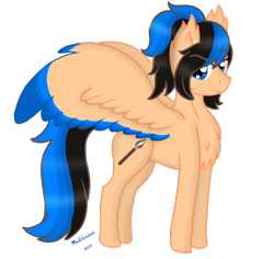 Size: 790x746 | Tagged: safe, artist:madlilon2051, oc, oc only, pegasus, pony, chest fluff, colored wings, ear fluff, female, mare, pegasus oc, simple background, smiling, transparent background, two toned wings, wings