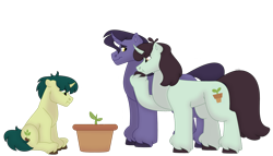 Size: 1280x732 | Tagged: safe, artist:itstechtock, sprout greenhoof, oc, pony, unicorn, colt, female, las pegasus resident, male, mare, plant, simple background, stallion, transparent background