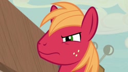 Size: 1280x720 | Tagged: safe, screencap, big macintosh, earth pony, pony, g4, hard to say anything, season 7, angry, big macintosh's yoke, grumpy, jealous, looking at each other, looking at someone, male, narrowed eyes, solo, stallion